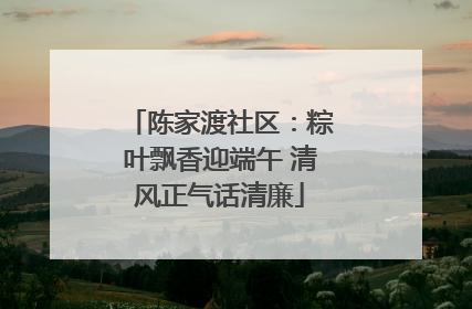 陈家渡社区：粽叶飘香迎端午 清风正气话清廉
