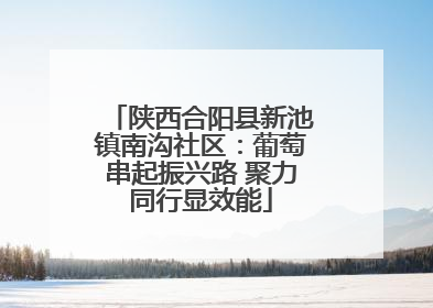 陕西合阳县新池镇南沟社区：葡萄串起振兴路 聚力同行显效能
