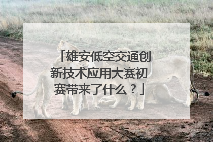 雄安低空交通创新技术应用大赛初赛带来了什么？