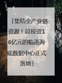 集结全产业链资源！总投资16亿元的临港海底数据中心正式落地