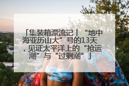 集装箱漂流记丨“地中海亚历山大”号的13天，见证太平洋上的“抢运潮”与“过剩潮”
