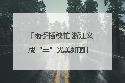 雨季插秧忙 浙江文成“丰”光美如画