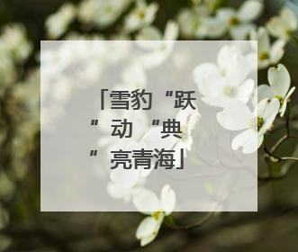 雪豹“跃”动 “典”亮青海