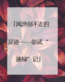 风沙刮不走的足迹——彰武“逐绿”记