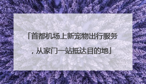 首都机场上新宠物出行服务，从家门一站抵达目的地