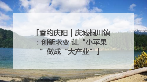 香约庆阳｜庆城桐川镇：创新求变 让“小苹果”做成“大产业”