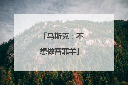 马斯克：不想做替罪羊