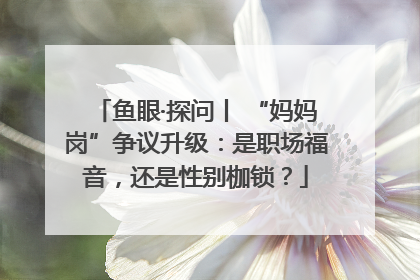 鱼眼·探问丨 “妈妈岗”争议升级：是职场福音，还是性别枷锁？