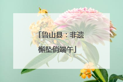 鲁山县：非遗槲坠俏端午