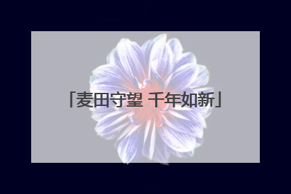麦田守望 千年如新