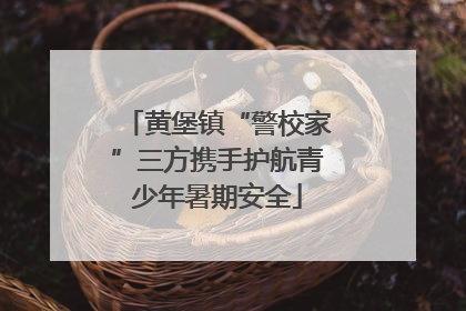 黄堡镇“警校家”三方携手护航青少年暑期安全