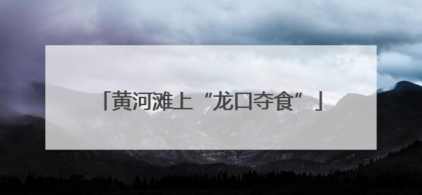 黄河滩上“龙口夺食”