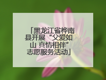 黑龙江省桦南县开展“父爱如山 真情相伴”志愿服务活动
