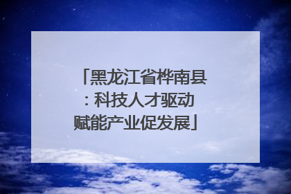 黑龙江省桦南县：科技人才驱动 赋能产业促发展
