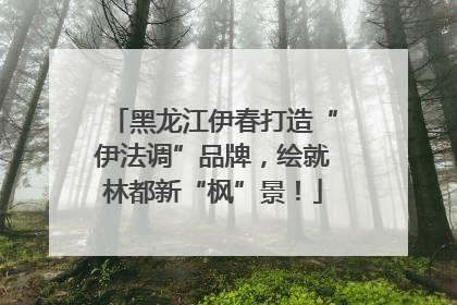 黑龙江伊春打造“伊法调”品牌，绘就林都新“枫”景！