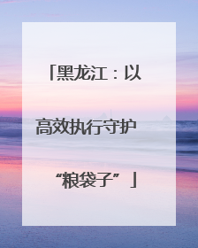 黑龙江：以高效执行守护“粮袋子”
