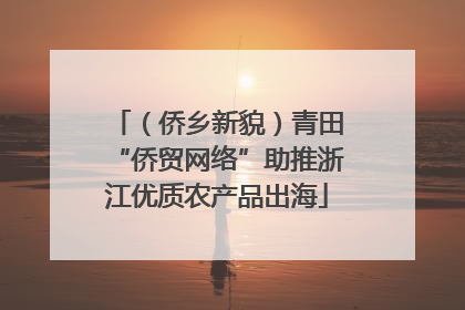 （侨乡新貌）青田“侨贸网络”助推浙江优质农产品出海