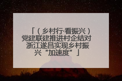 （乡村行·看振兴）党建联建推进村企结对 浙江遂昌实现乡村振兴“加速度”