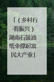 （乡村行·看振兴）湖南石鼓油纸伞撑起富民大产业