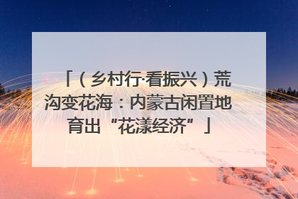 （乡村行·看振兴）荒沟变花海：内蒙古闲置地育出“花漾经济”