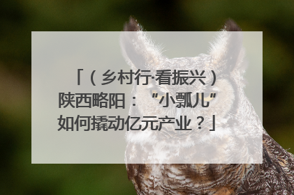 （乡村行·看振兴）陕西略阳：“小瓢儿”如何撬动亿元产业？