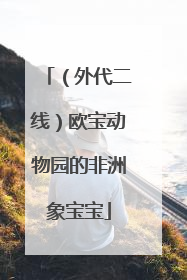 （外代二线）欧宝动物园的非洲象宝宝