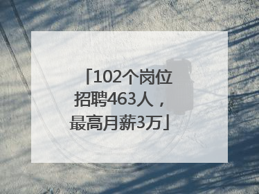 102个岗位招聘463人，最高月薪3万