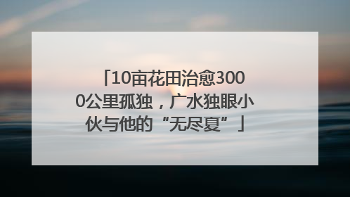 10亩花田治愈3000公里孤独，广水独眼小伙与他的“无尽夏”