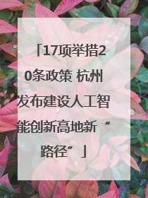 17项举措20条政策 杭州发布建设人工智能创新高地新“路径”