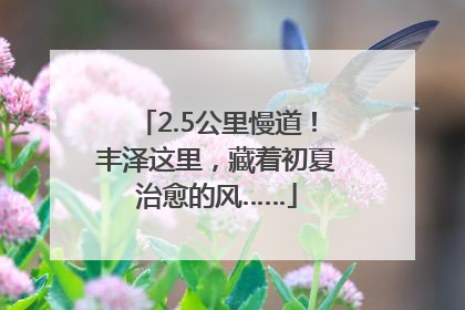2.5公里慢道！丰泽这里，藏着初夏治愈的风……