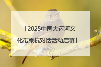 2025中国大运河文化带京杭对话活动启幕