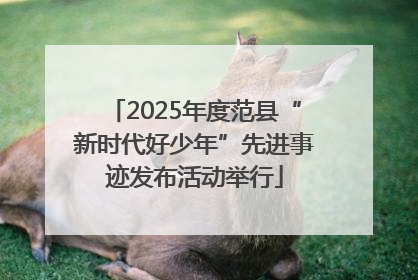 2025年度范县“新时代好少年”先进事迹发布活动举行