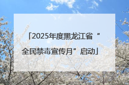 2025年度黑龙江省“全民禁毒宣传月”启动