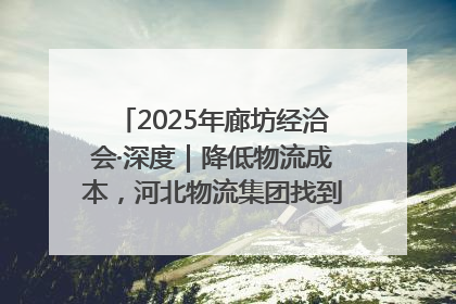 2025年廊坊经洽会·深度｜降低物流成本，河北物流集团找到一把“金钥匙”