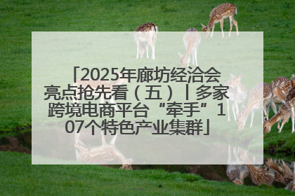 2025年廊坊经洽会亮点抢先看（五）丨多家跨境电商平台“牵手”107个特色产业集群