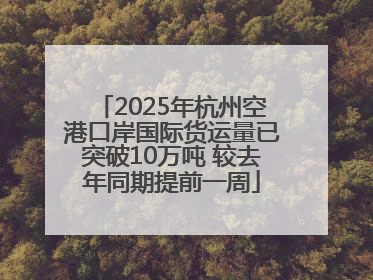 2025年杭州空港口岸国际货运量已突破10万吨 较去年同期提前一周