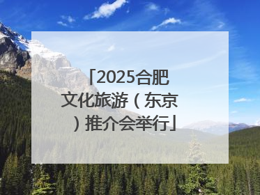 2025合肥文化旅游（东京）推介会举行