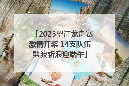 2025望江龙舟赛激情开桨 14支队伍劈波斩浪迎端午