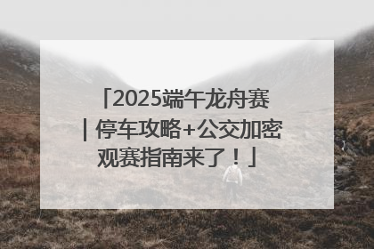 2025端午龙舟赛｜停车攻略+公交加密 观赛指南来了！