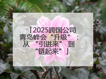 2025跨国公司青岛峰会“升级”：从 “引进来” 到 “链起来”