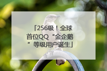 256级！全球首位QQ“金企鹅”等级用户诞生