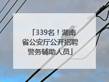 339名！湖南省公安厅公开招聘警务辅助人员