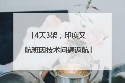 4天3架，印度又一航班因技术问题返航