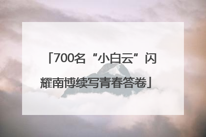 700名“小白云”闪耀南博续写青春答卷
