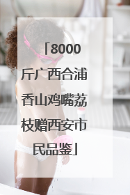 8000斤广西合浦香山鸡嘴荔枝赠西安市民品鉴