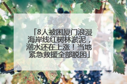 8人被困厦门浪漫海岸线红树林淤泥，潮水还在上涨！当地紧急救援全部脱困