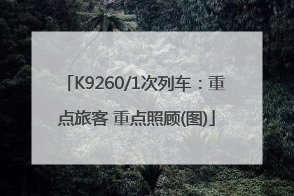 K9260/1次列车：重点旅客 重点照顾(图)