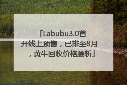 Labubu3.0首开线上预售，已排至8月，黄牛回收价格腰斩