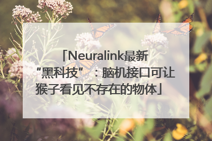 Neuralink最新“黑科技”：脑机接口可让猴子看见不存在的物体